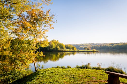 7 Kroků k Autenticitě Online: Jak Vyniknout a Zůstat Věrný Sobě